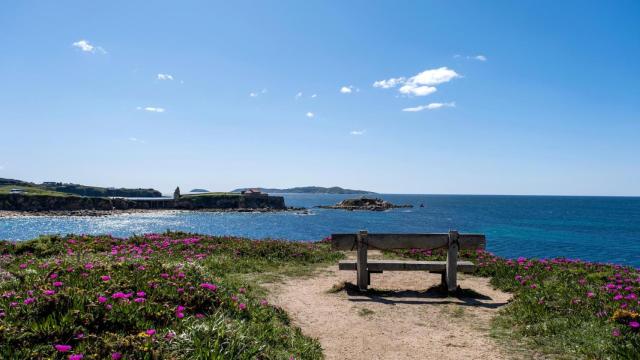 Punta Faxilda