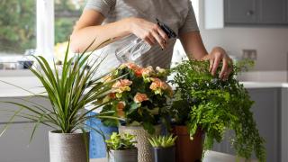 Mujer cuidando sus plantas.