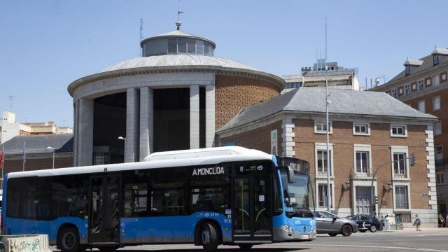 Líneas universitarias