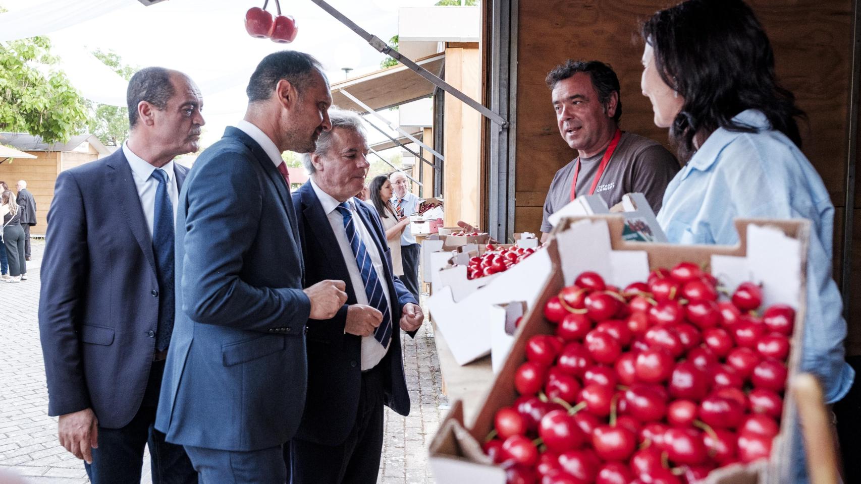 Fiesta de la Cereza Alfândega da Fé 2025