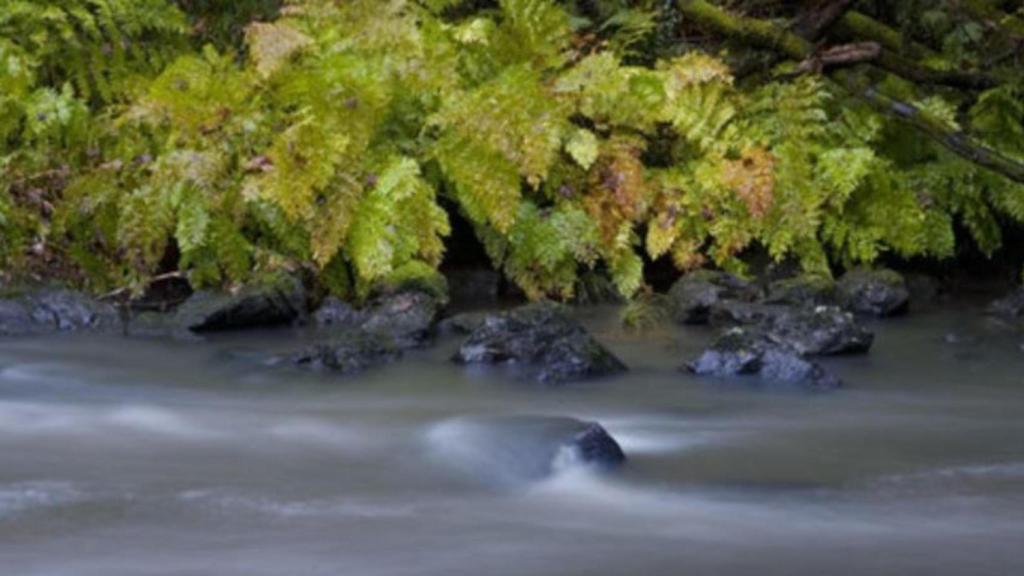 Río Landro en Viveiro (Lugo).